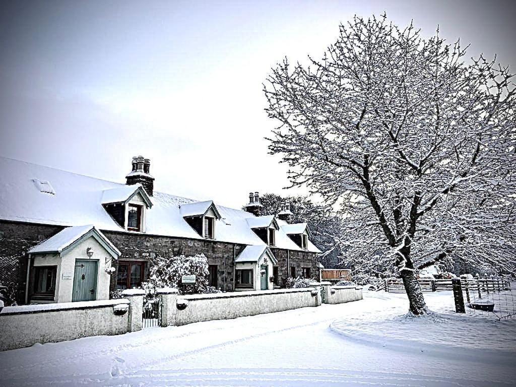 Rosemount Bothy - Highland Cottage Garve Buitenkant foto