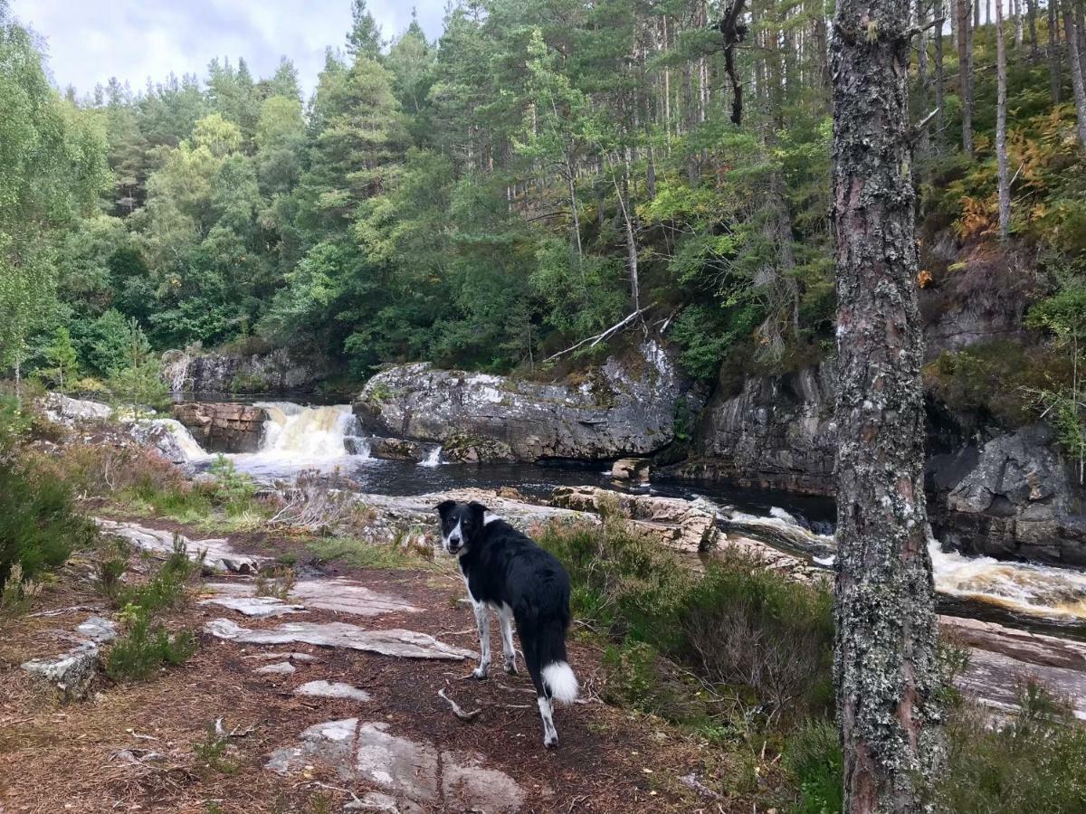 Rosemount Bothy - Highland Cottage Garve Buitenkant foto